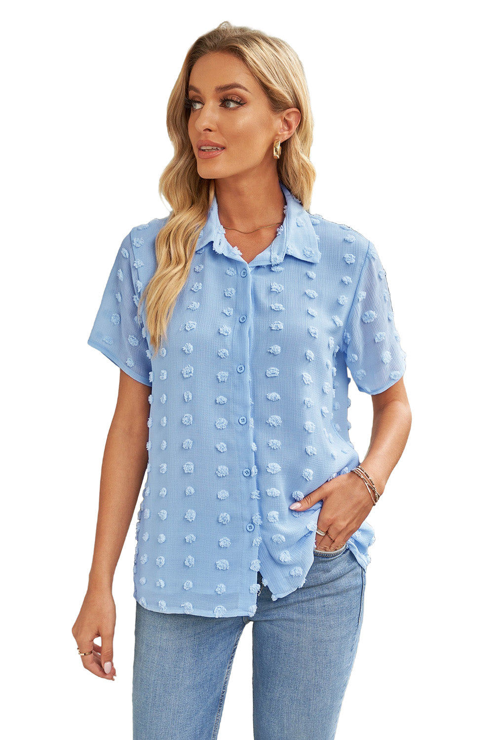 Classic Sky Blue Buttoned Swiss Dot Turn-down Collar Short Sleeve Shirt