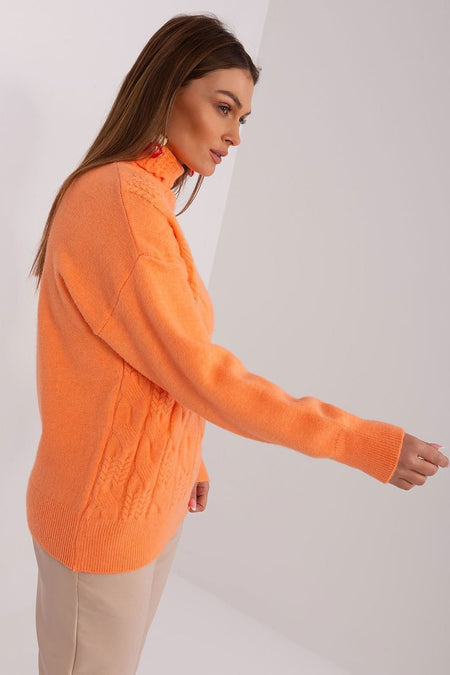 Rollkragenpullover Model 189898 AT (11496085913868)